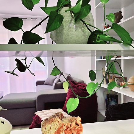 Apartmán Micasatucasa Tirana Exteriér fotografie